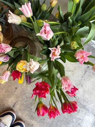 チューリップMIXブーケ