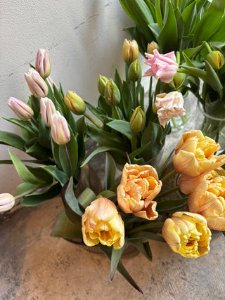 チューリップMIXブーケ