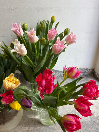 チューリップMIXブーケ