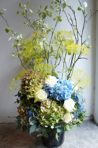 ARRANGEMENT 16500yen