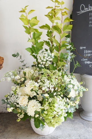 ARRANGEMENT 16500yen