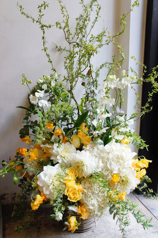 ARRANGEMENT 16500yen