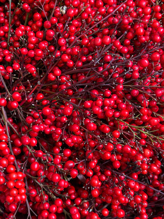 年末年始営業のお知らせ